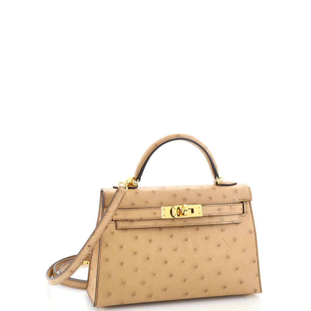 Kelly Mini II Bag Chai Ostrich with Gold Hardware 20