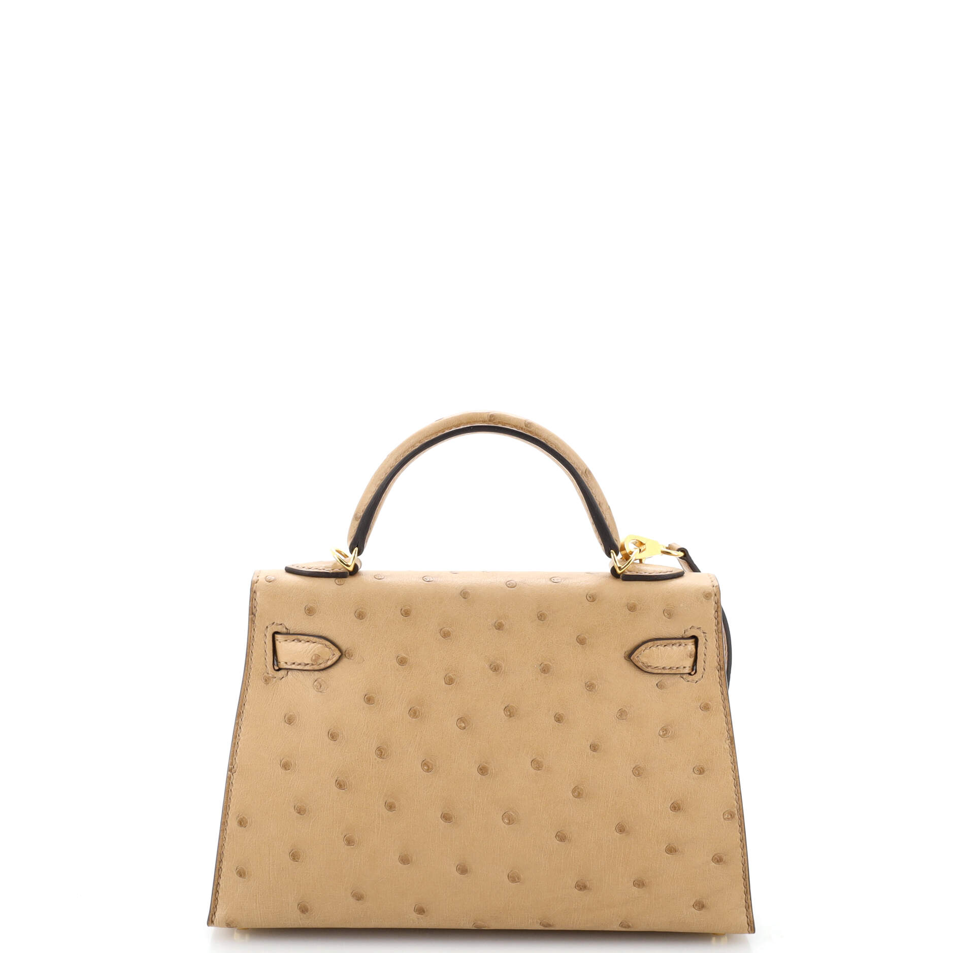 Kelly Mini II Bag Chai Ostrich with Gold Hardware 20