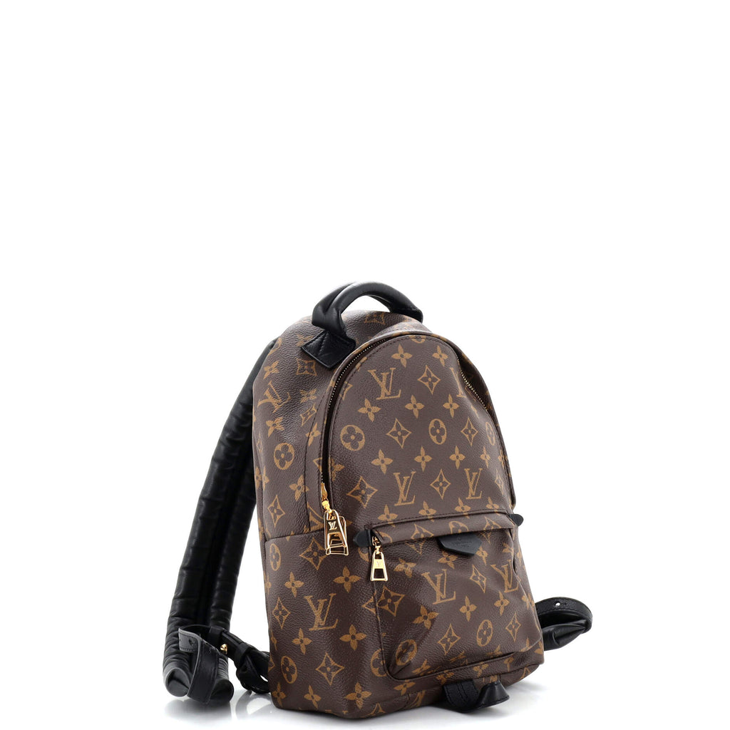 Louis Vuitton Palm Springs Backpack Monogram Canvas PM