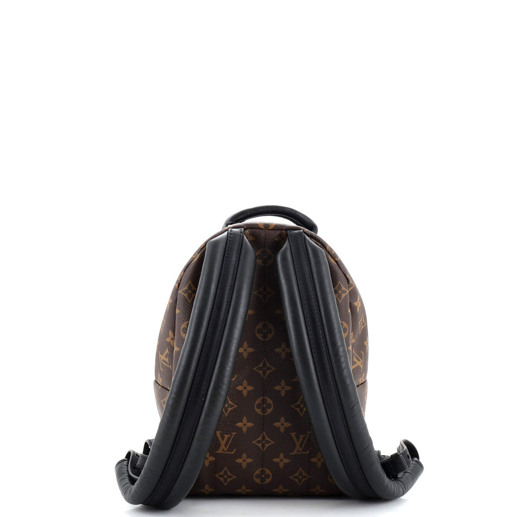 Louis Vuitton Palm Springs Backpack Monogram Canvas PM