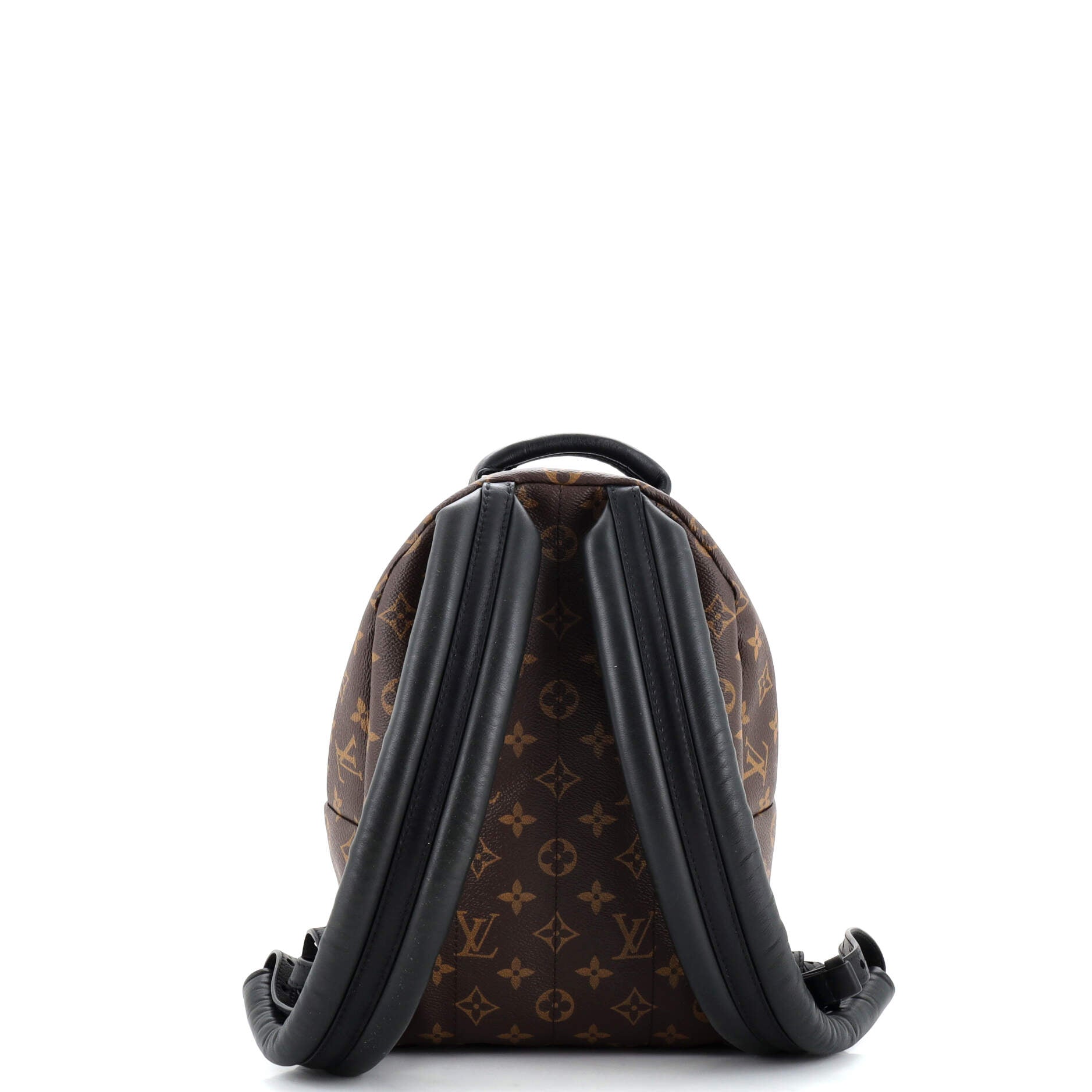 Louis Vuitton Palm Springs Backpack Monogram Canvas PM