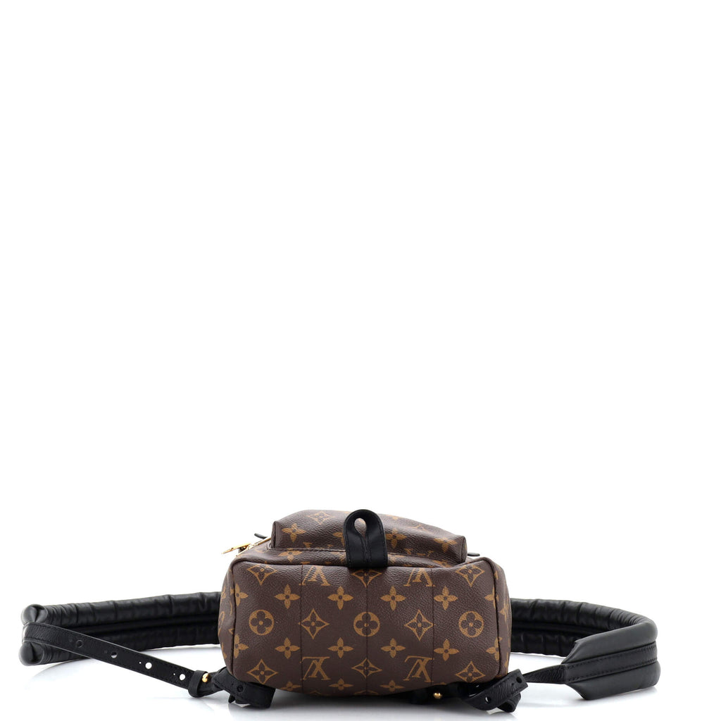 Louis Vuitton Palm Springs Backpack Monogram Canvas PM