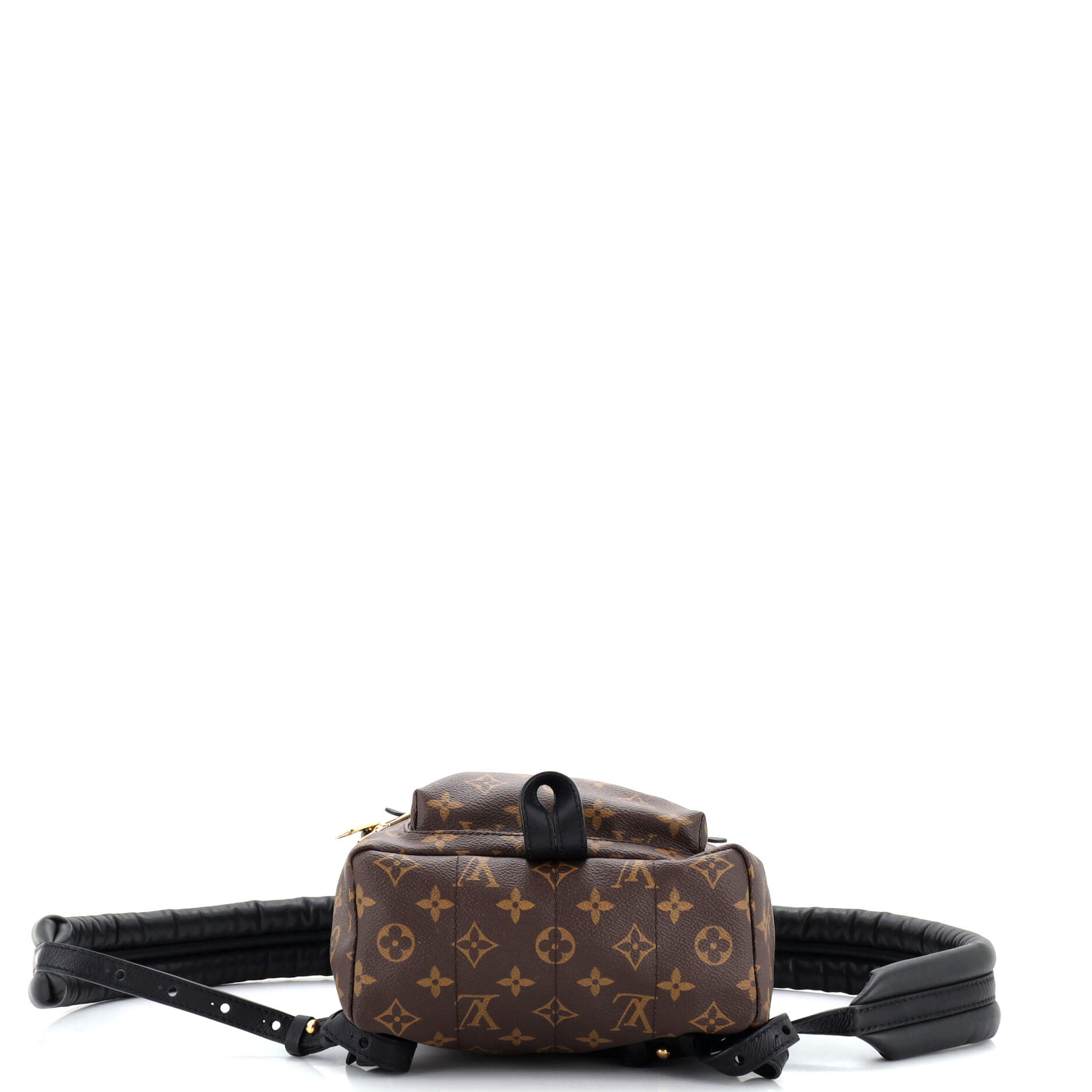 Louis Vuitton Palm Springs Backpack Monogram Canvas PM
