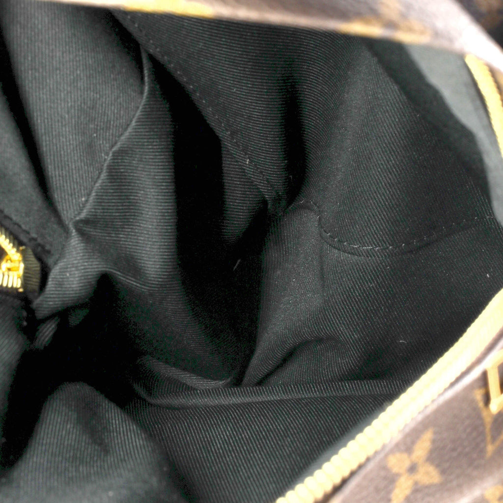 Louis Vuitton Palm Springs Backpack Monogram Canvas PM