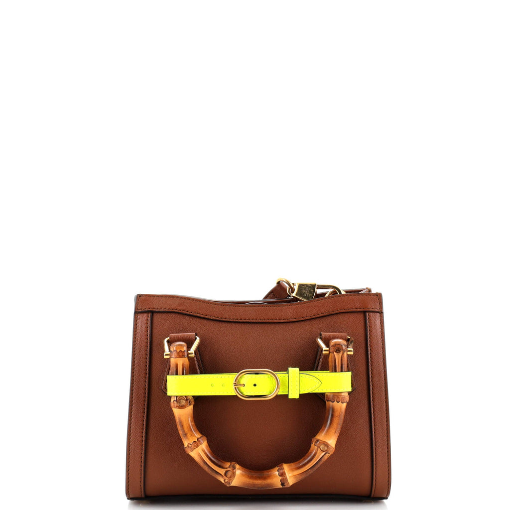 Diana NM Bamboo Handle Tote Leather Mini