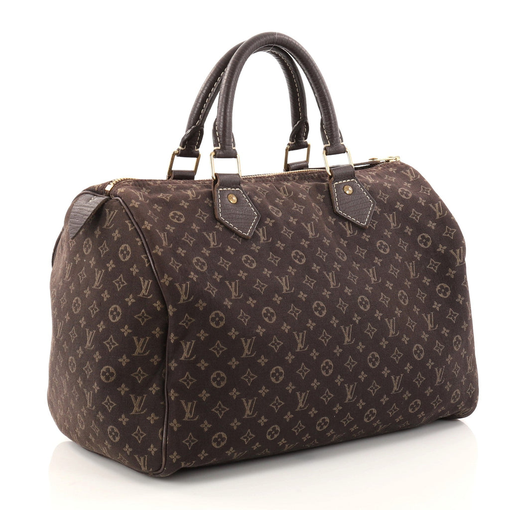 Speedy Handbag Mini Lin 30