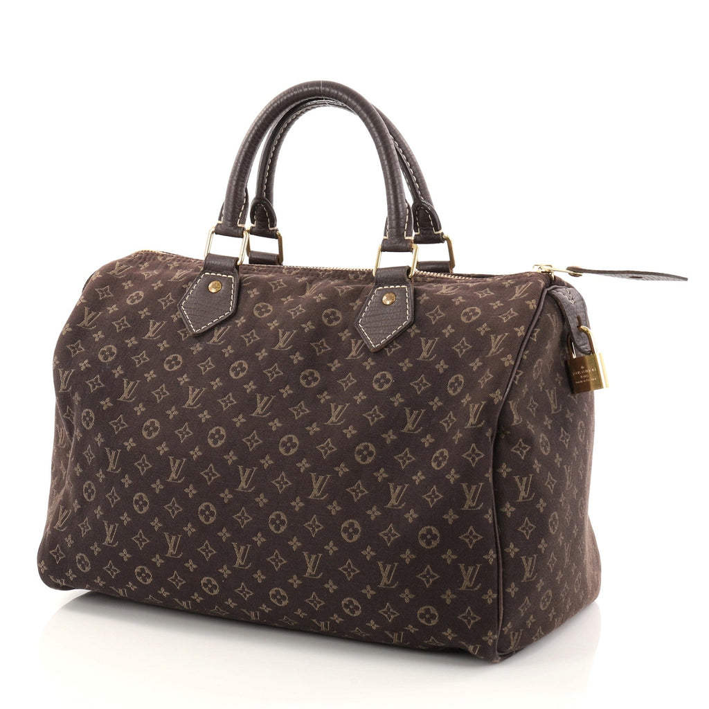 Speedy Handbag Mini Lin 30