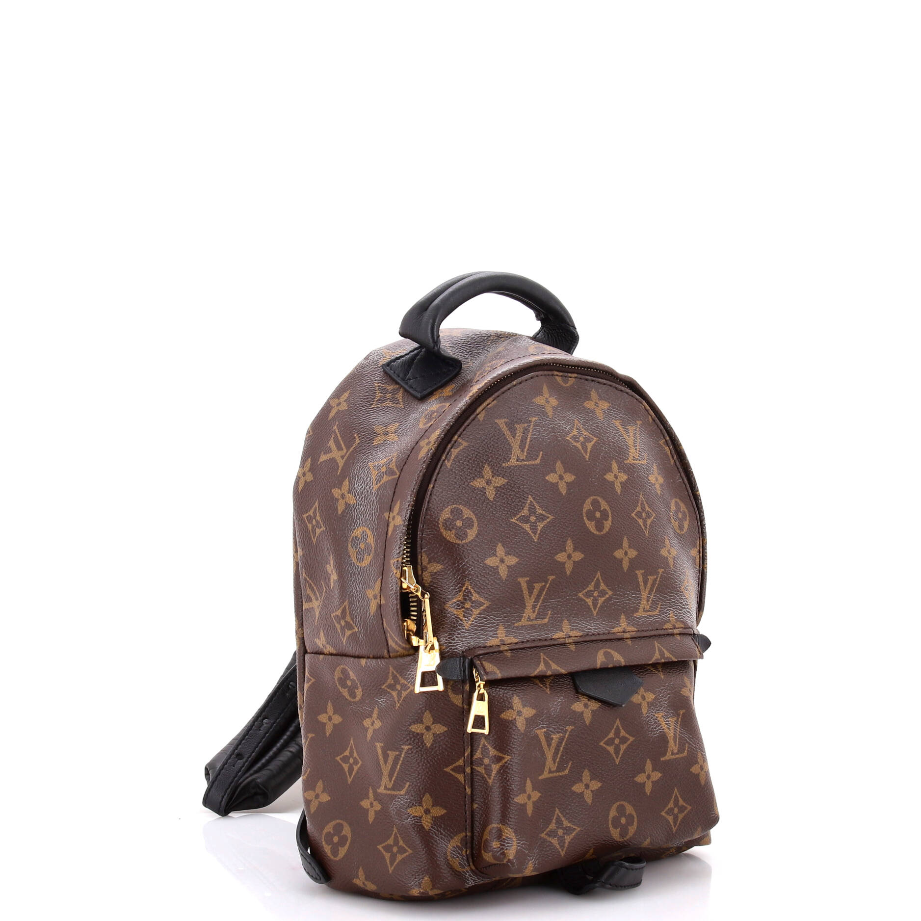 Louis Vuitton Palm Springs Backpack Monogram Canvas PM