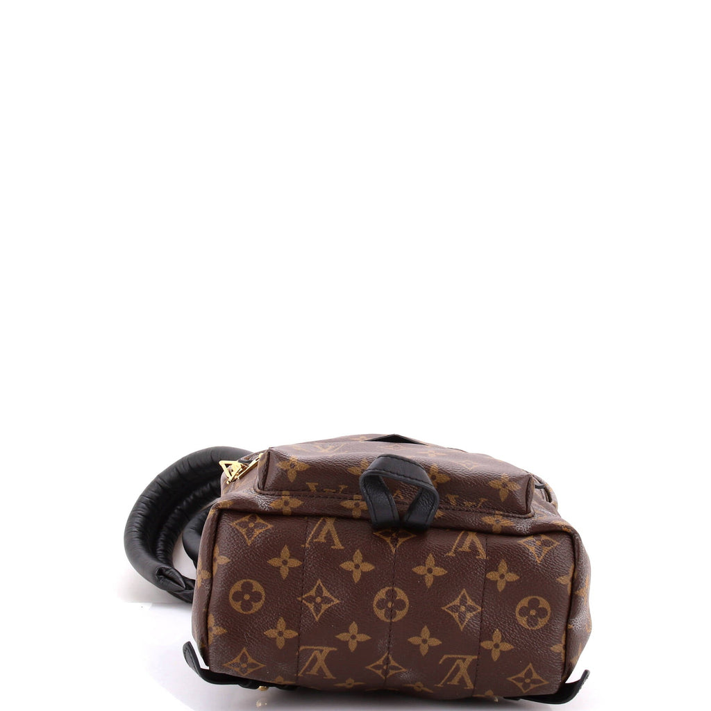 Louis Vuitton Palm Springs Backpack Monogram Canvas PM