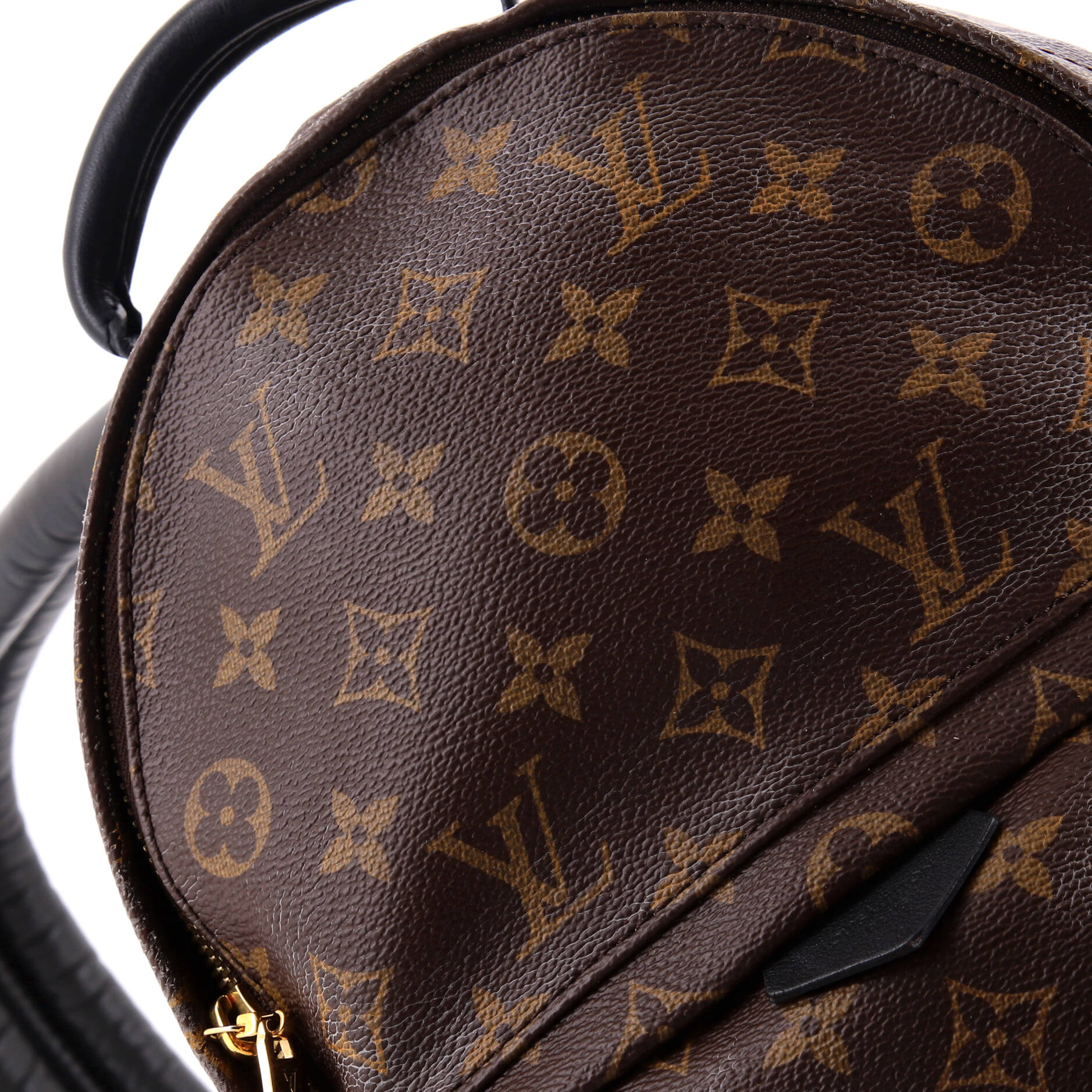 Louis Vuitton Palm Springs Backpack Monogram Canvas PM