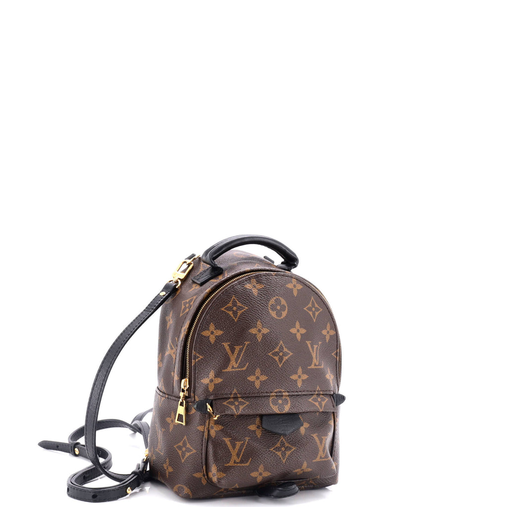 Louis Vuitton Palm Springs Backpack Monogram Canvas Mini
