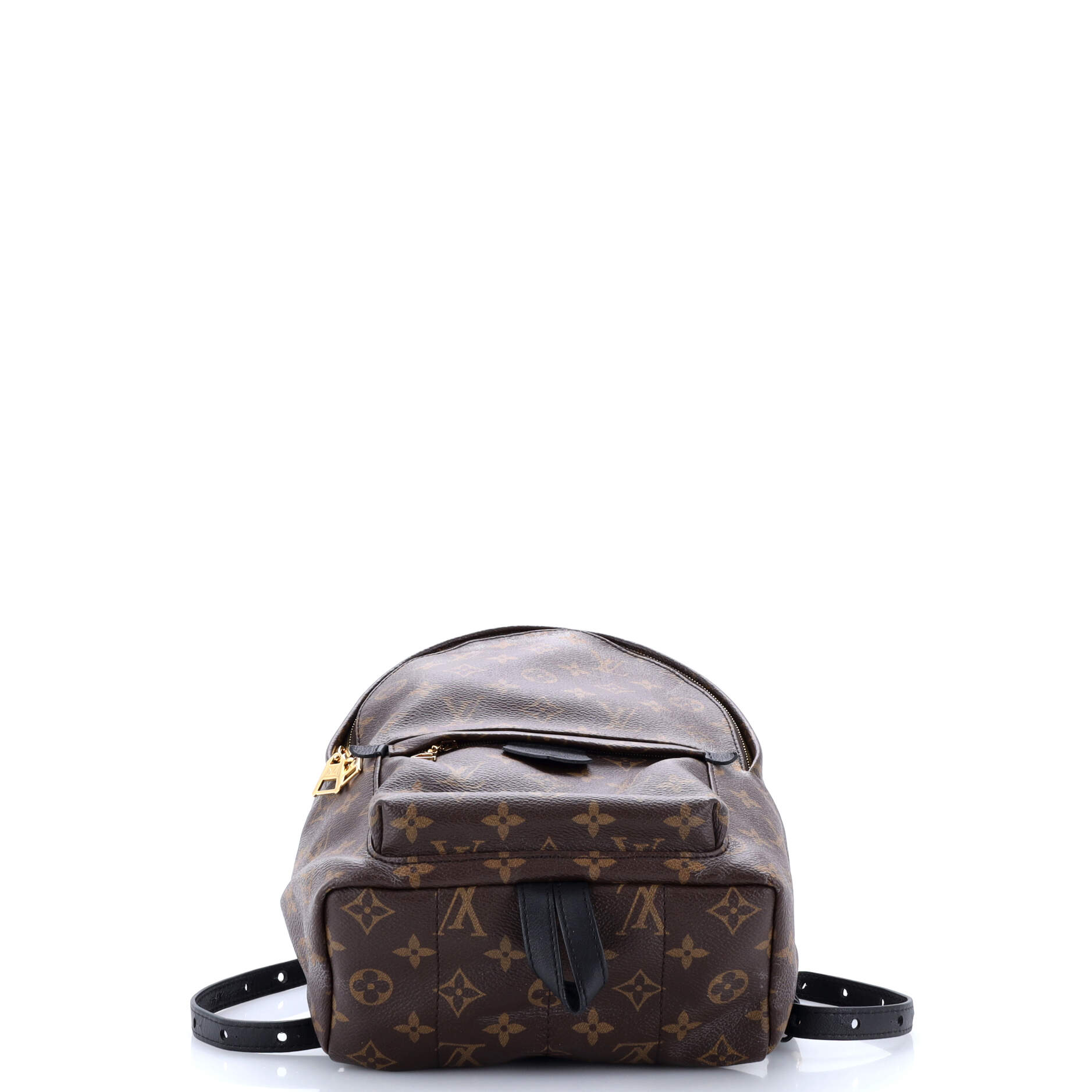 Louis Vuitton Palm Springs Backpack Monogram Canvas PM