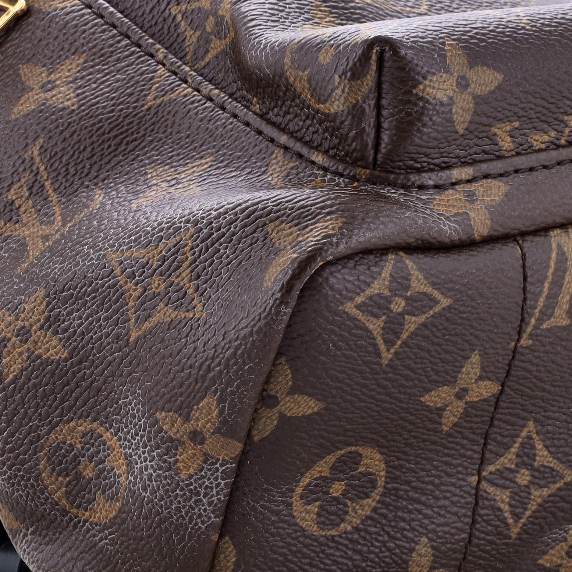 Louis Vuitton Palm Springs Backpack Monogram Canvas PM