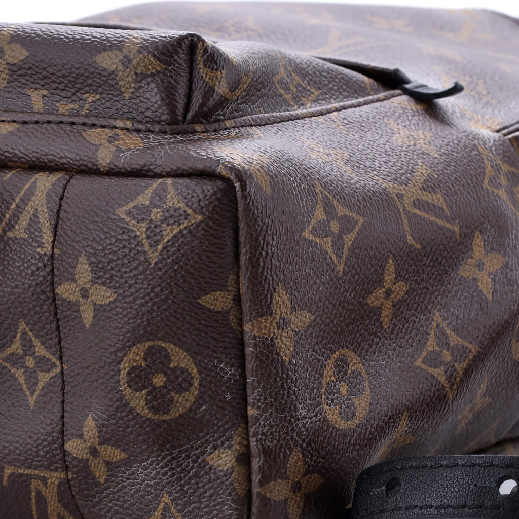 Louis Vuitton Palm Springs Backpack Monogram Canvas PM