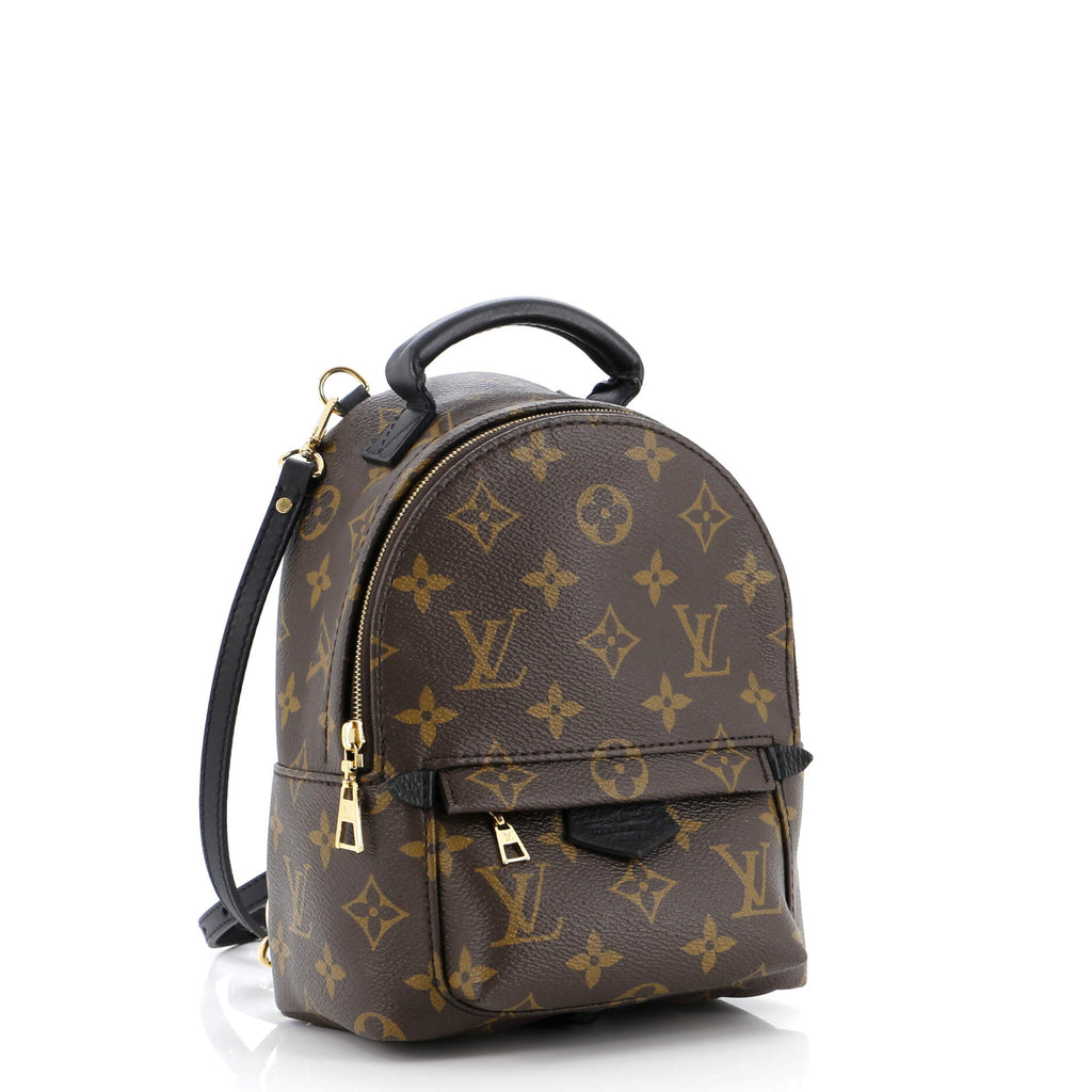 Louis Vuitton Palm Springs Backpack Monogram Canvas Mini