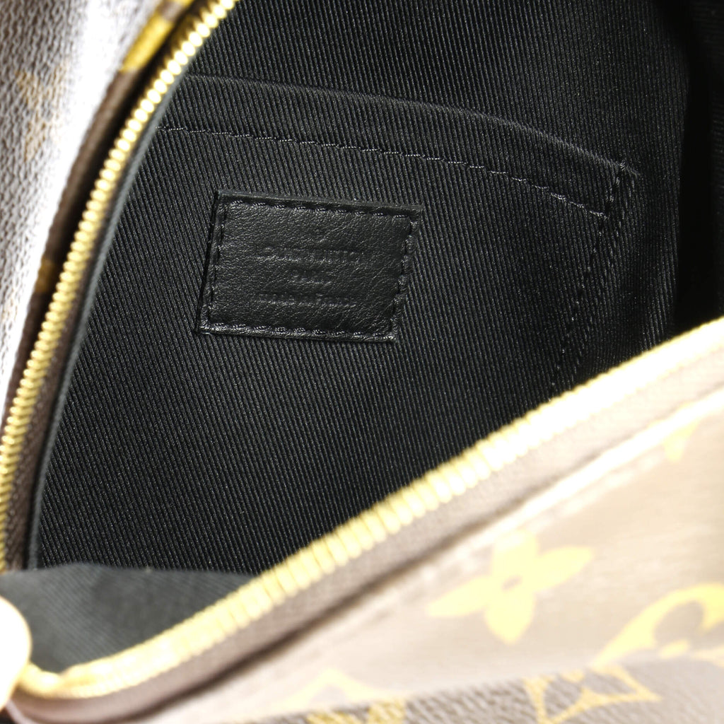 Louis Vuitton Palm Springs Backpack Monogram Canvas Mini