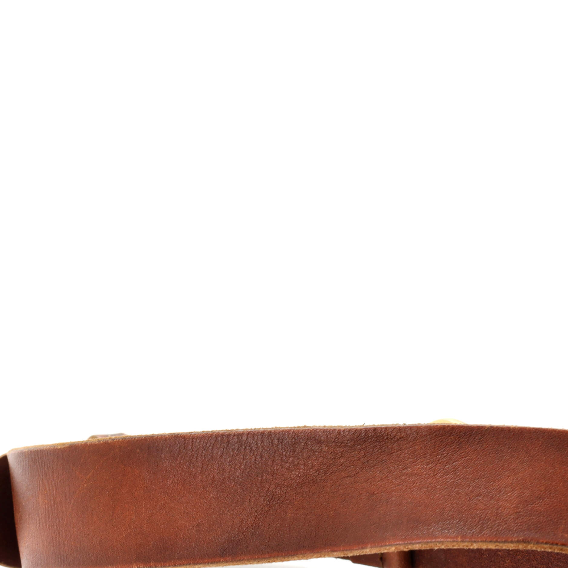 Snake Marmont Belt Leather Wide 70