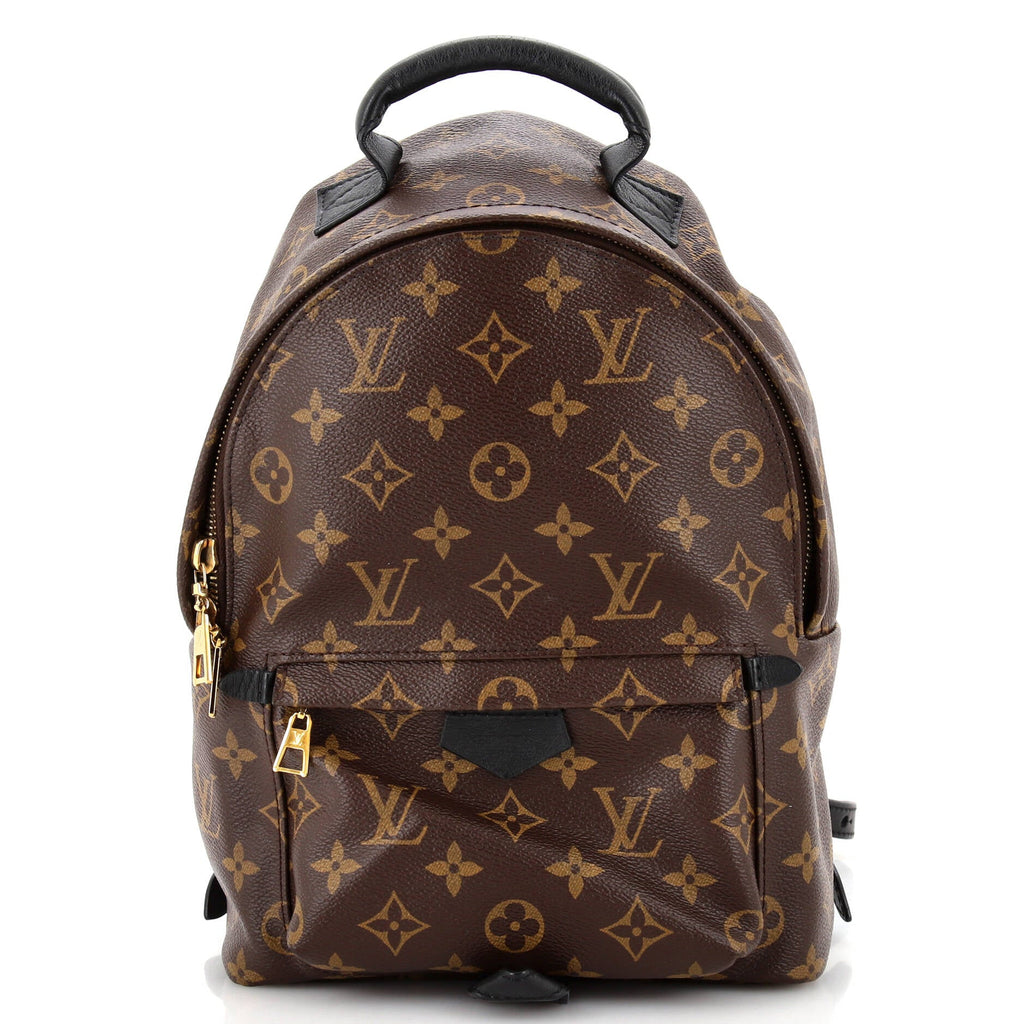 Louis Vuitton Palm Springs Backpack Monogram Canvas PM