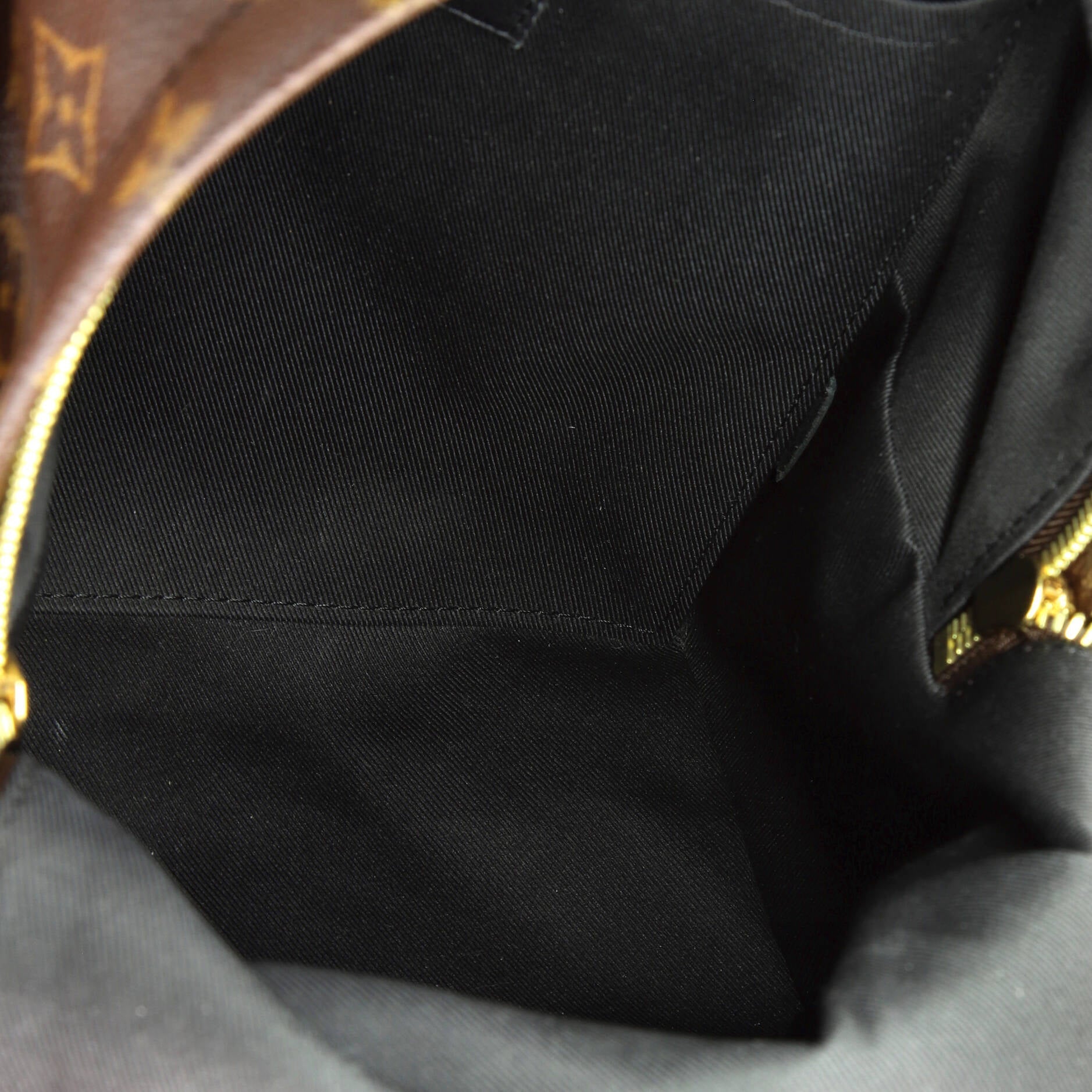 Louis Vuitton Palm Springs Backpack Monogram Canvas PM