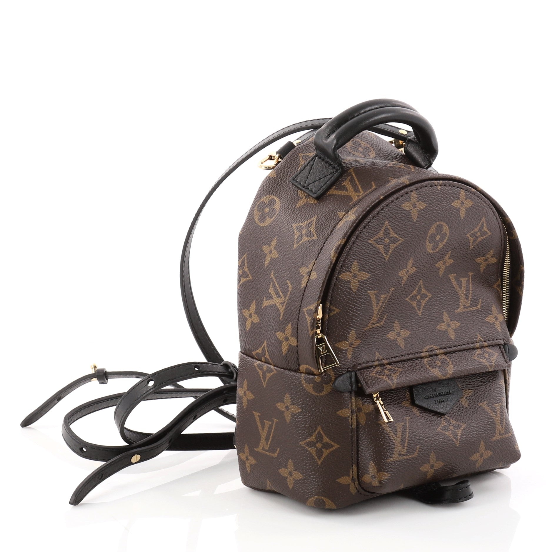 Palm Springs Backpack Monogram Canvas Mini