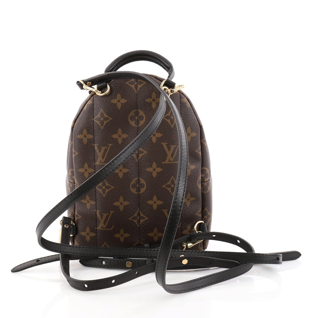 Palm Springs Backpack Monogram Canvas Mini
