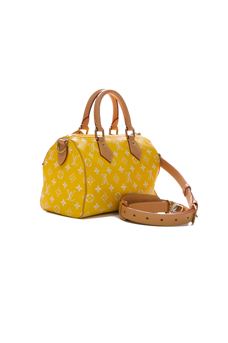 Speedy P9 Bandouliere 25 Bag