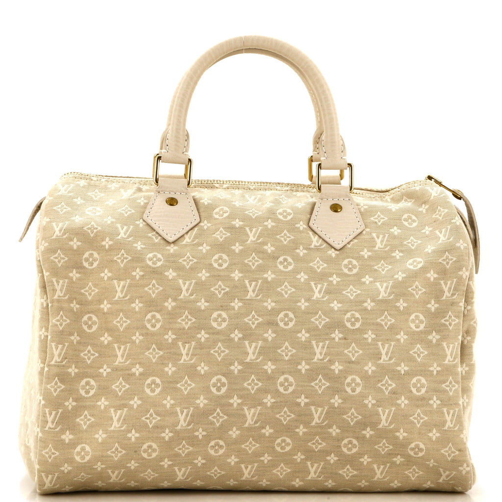Speedy Handbag Mini Lin 30