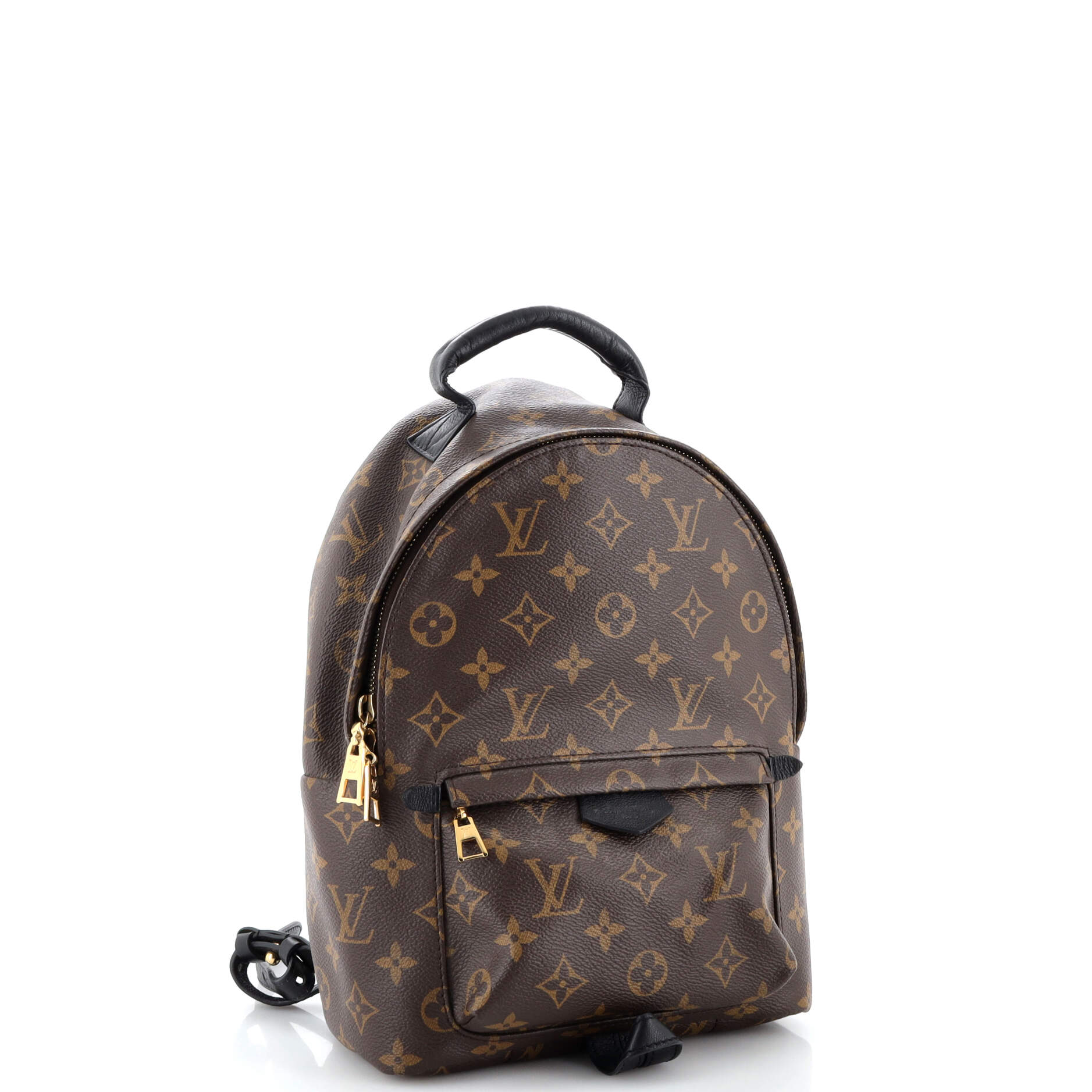 Louis Vuitton Palm Springs Backpack Monogram Canvas PM