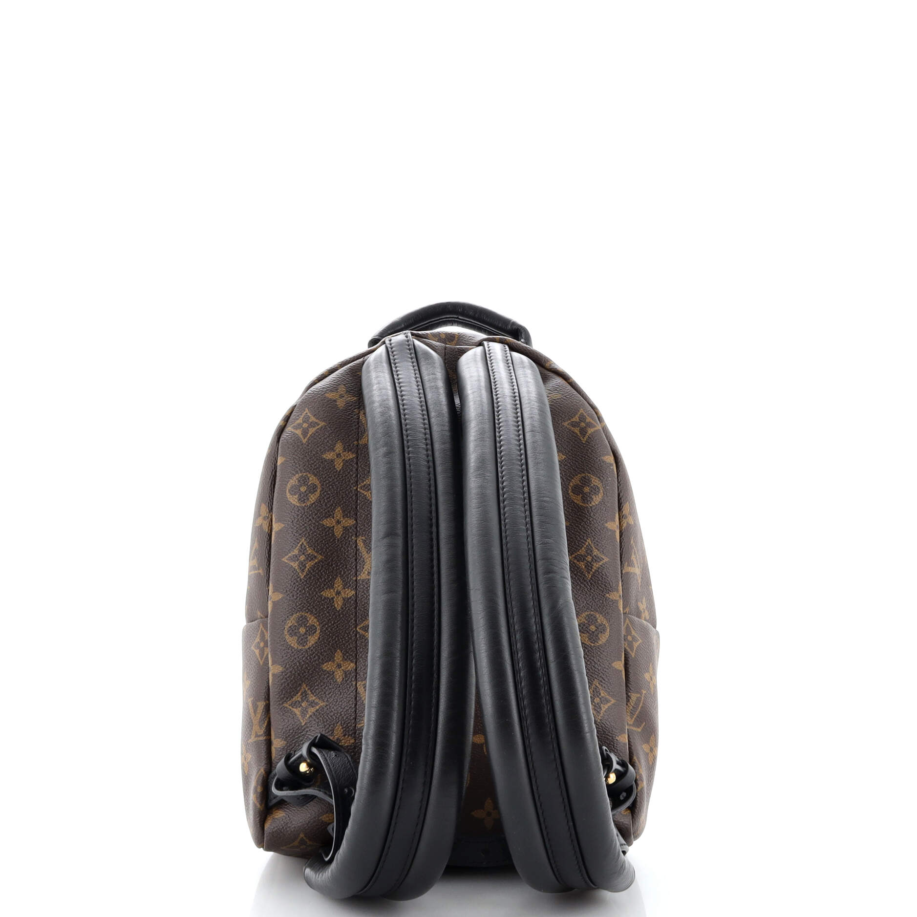 Louis Vuitton Palm Springs Backpack Monogram Canvas PM