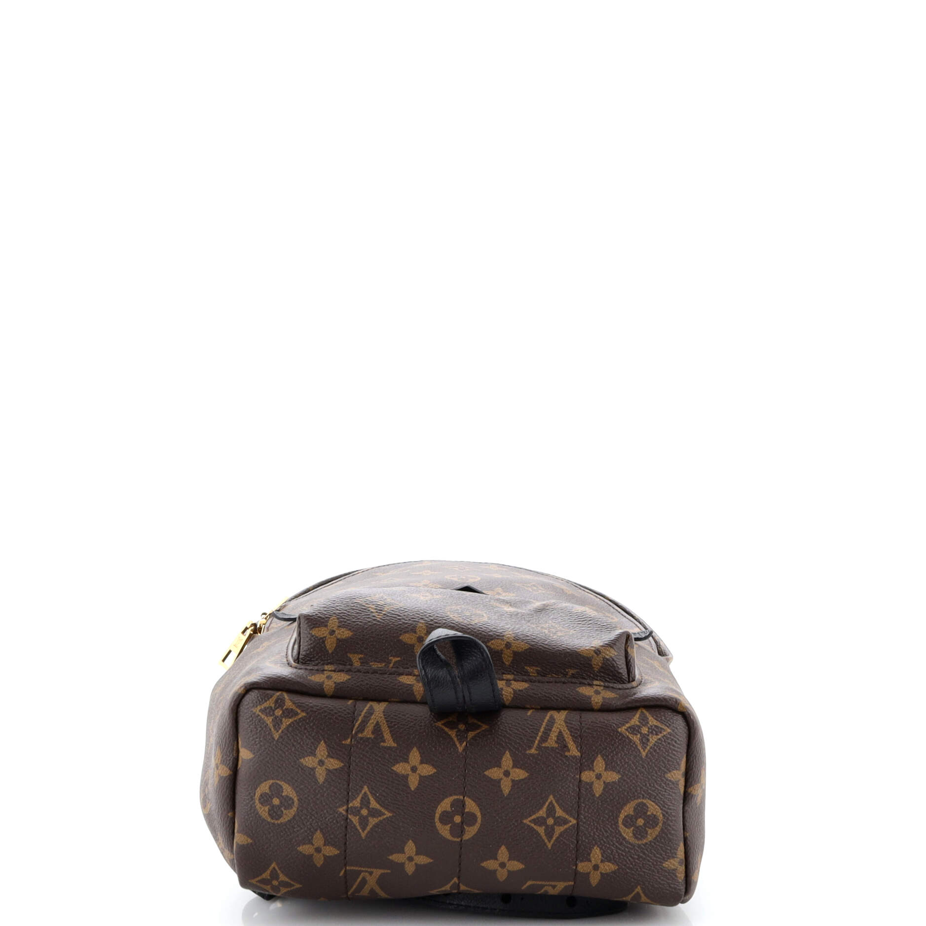 Louis Vuitton Palm Springs Backpack Monogram Canvas PM