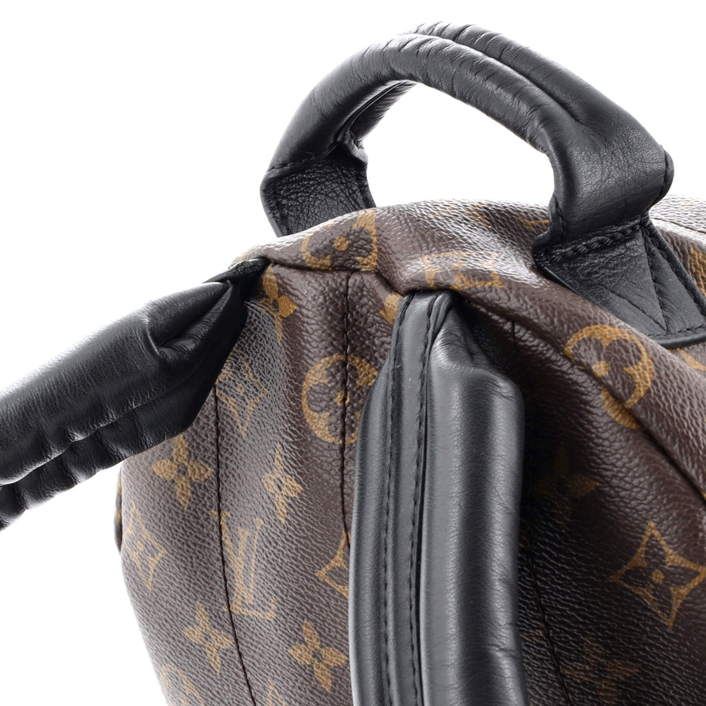 Louis Vuitton Palm Springs Backpack Monogram Canvas PM