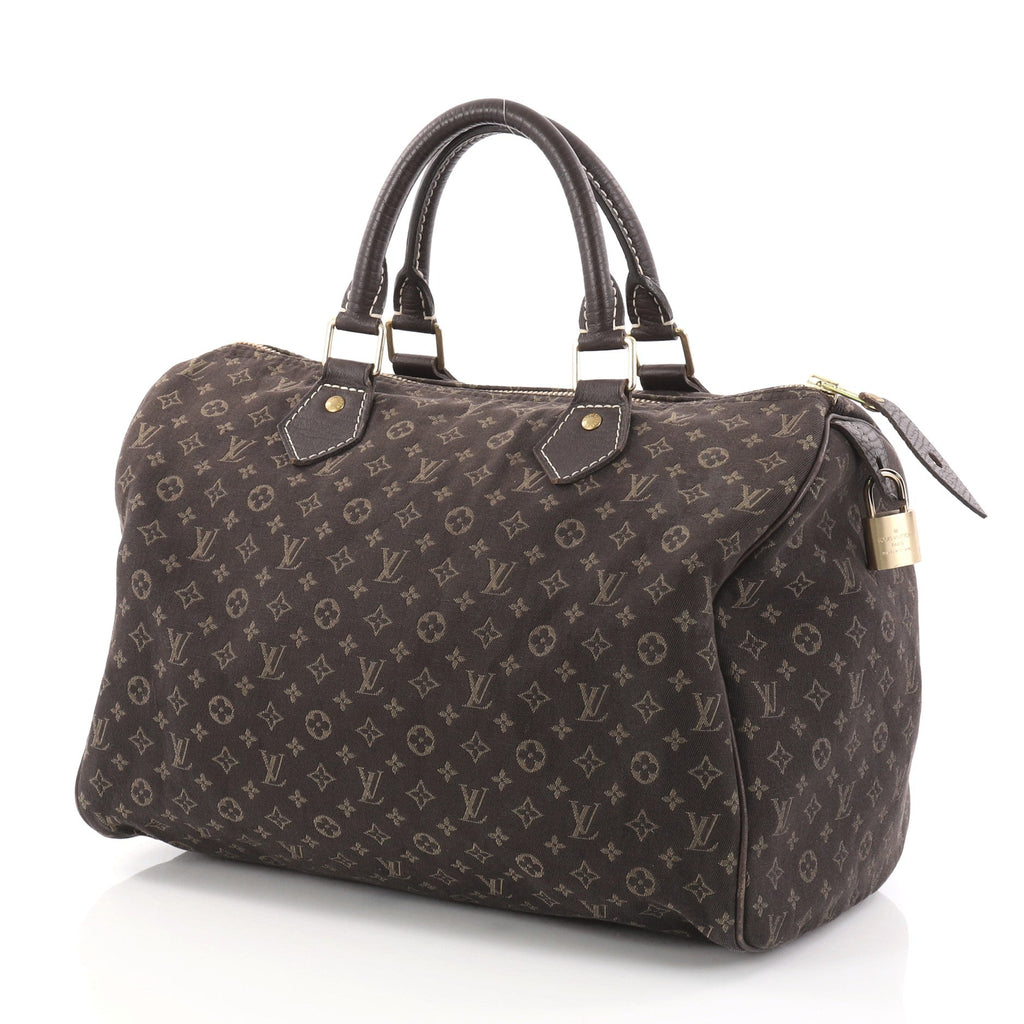 Speedy Handbag Mini Lin 30