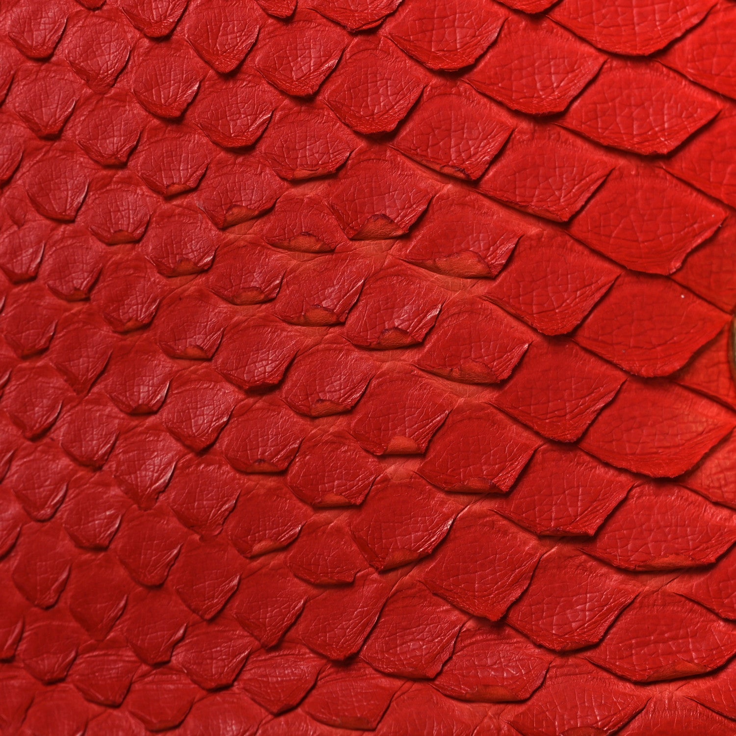 Snakeskin Mini Rectangular Flap Red