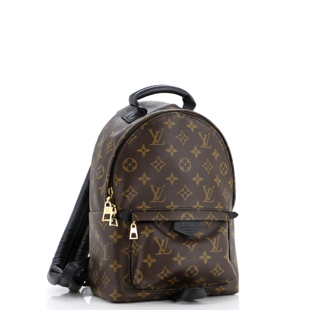 Louis Vuitton Palm Springs Backpack Monogram Canvas PM