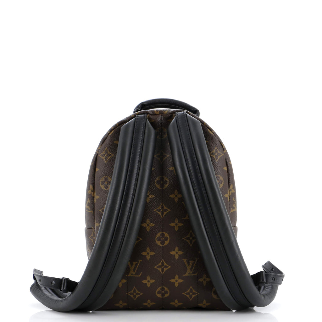Louis Vuitton Palm Springs Backpack Monogram Canvas PM