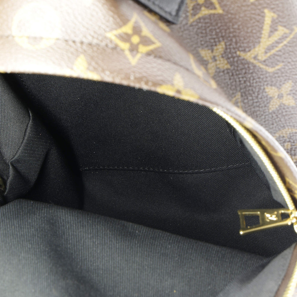 Louis Vuitton Palm Springs Backpack Monogram Canvas PM