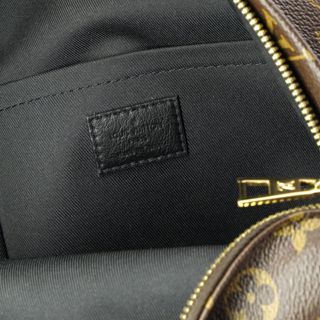 Louis Vuitton Palm Springs Backpack Monogram Canvas PM