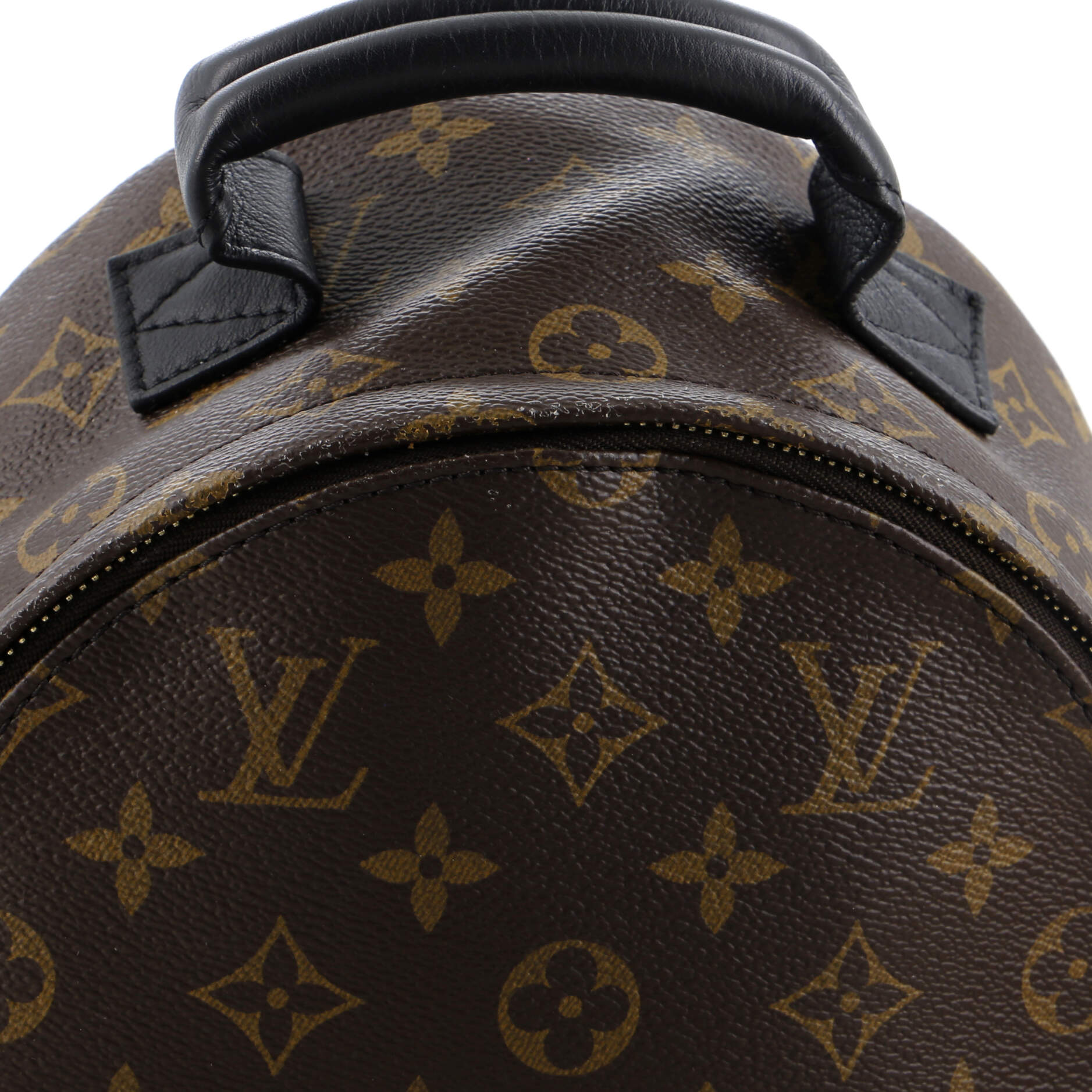 Louis Vuitton Palm Springs Backpack Monogram Canvas PM