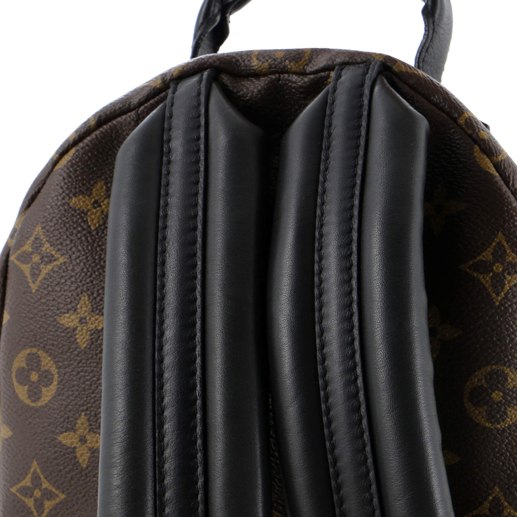 Louis Vuitton Palm Springs Backpack Monogram Canvas PM