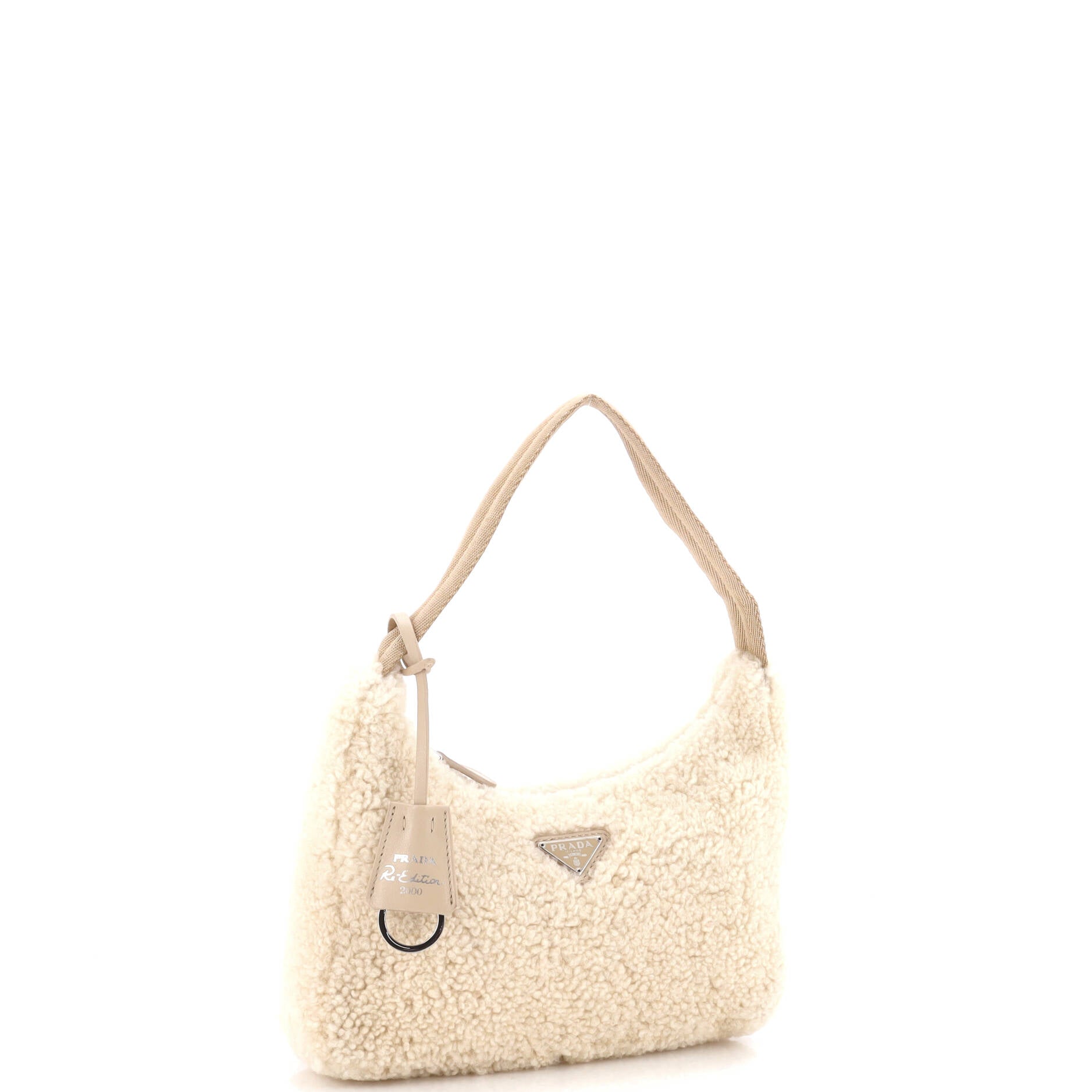 Re-Edition 2000 Hobo Shearling Mini