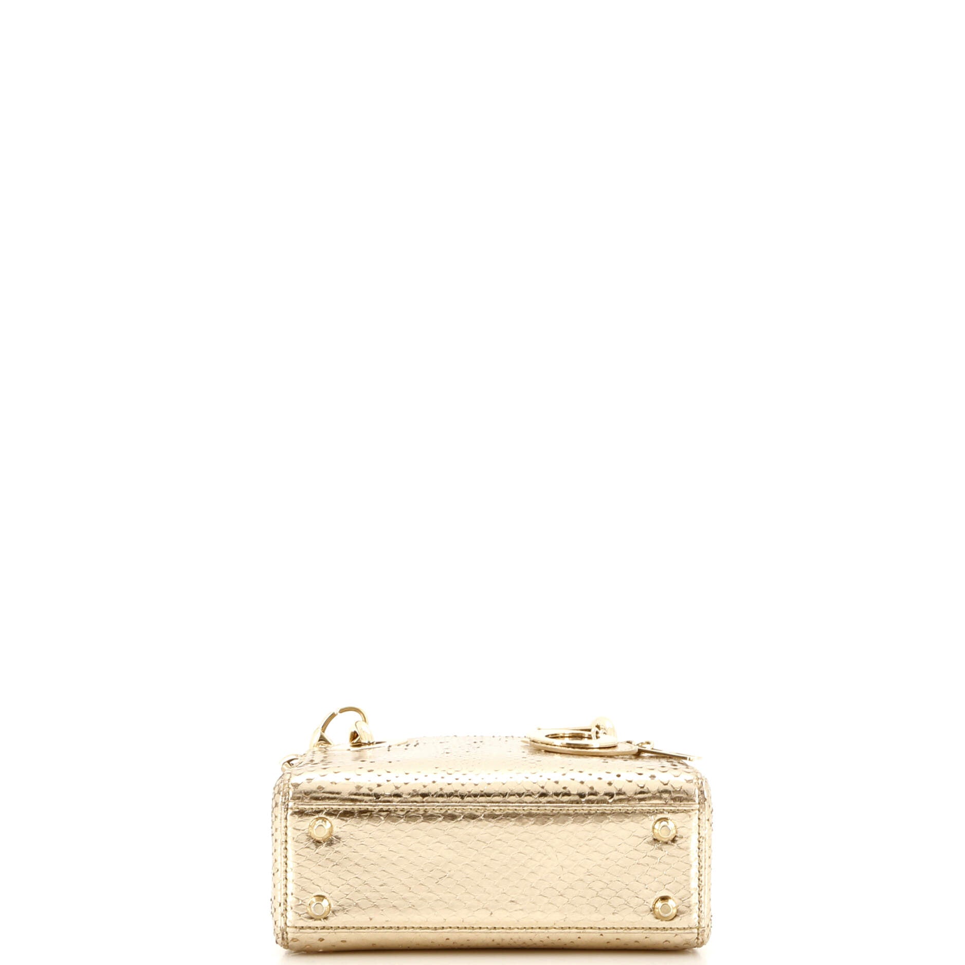 Lady Dior Bag Python Mini