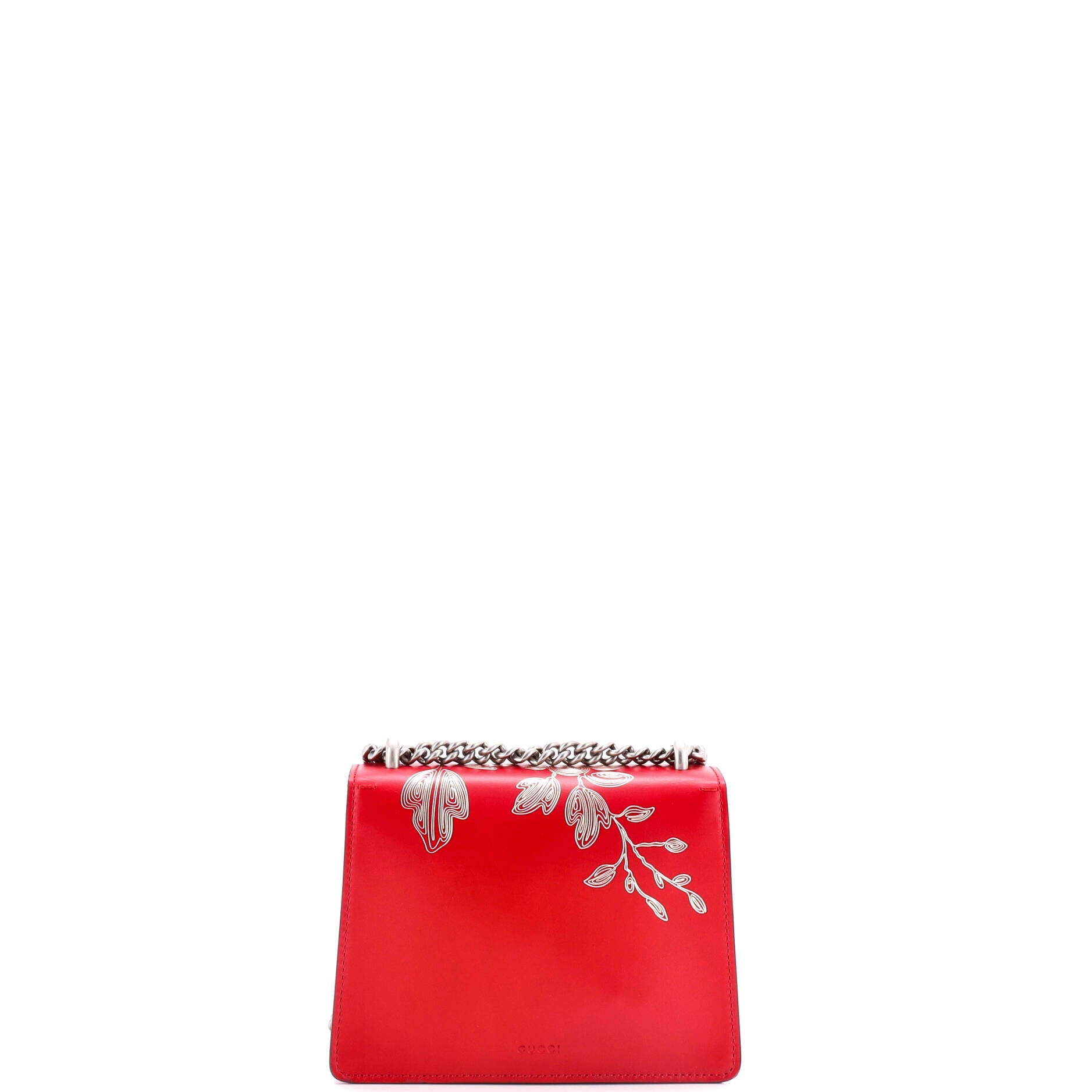 Dionysus Bag Limited Edition Painted Leather Mini