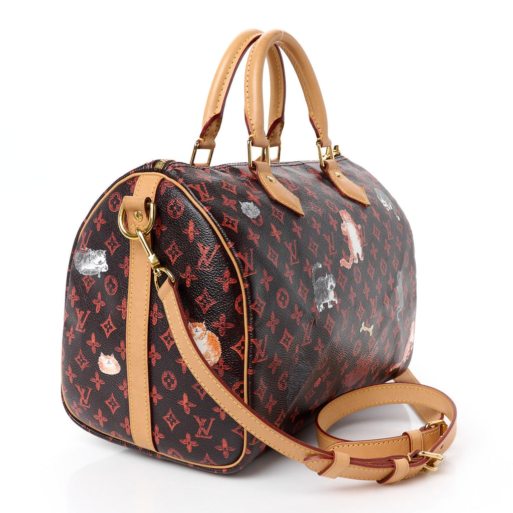 Catogram Speedy Bandouliere 30 Marron