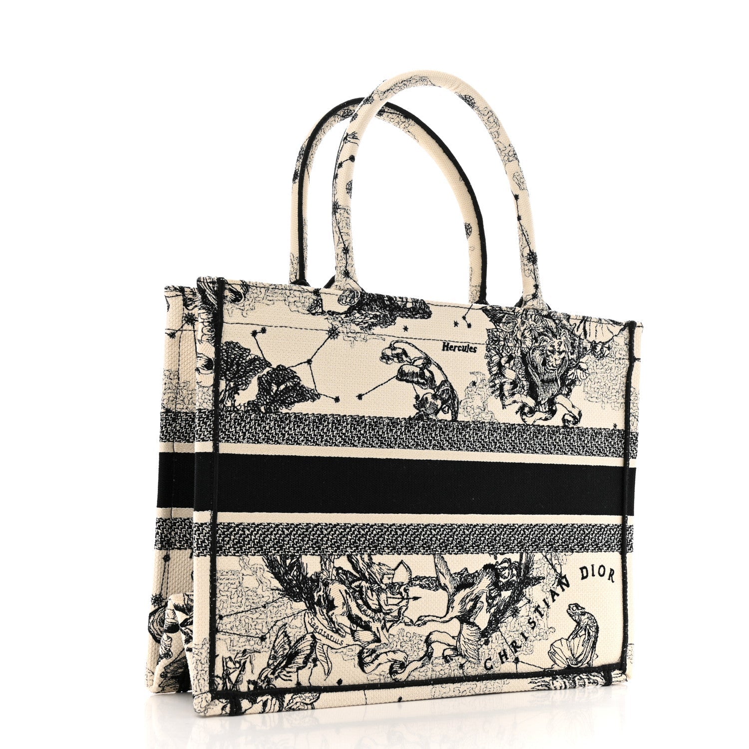 Canvas Zodiac Toile De Jouy Embroidered Medium Book Tote Latte