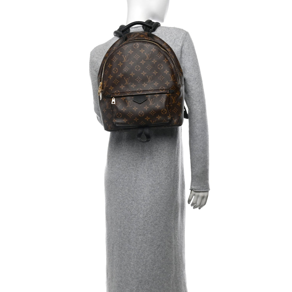 Monogram Palm Springs Backpack MM