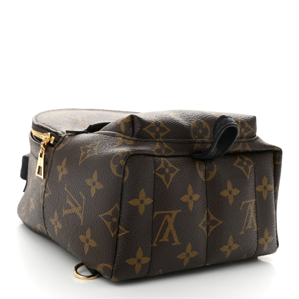 Monogram Palm Springs Backpack Mini