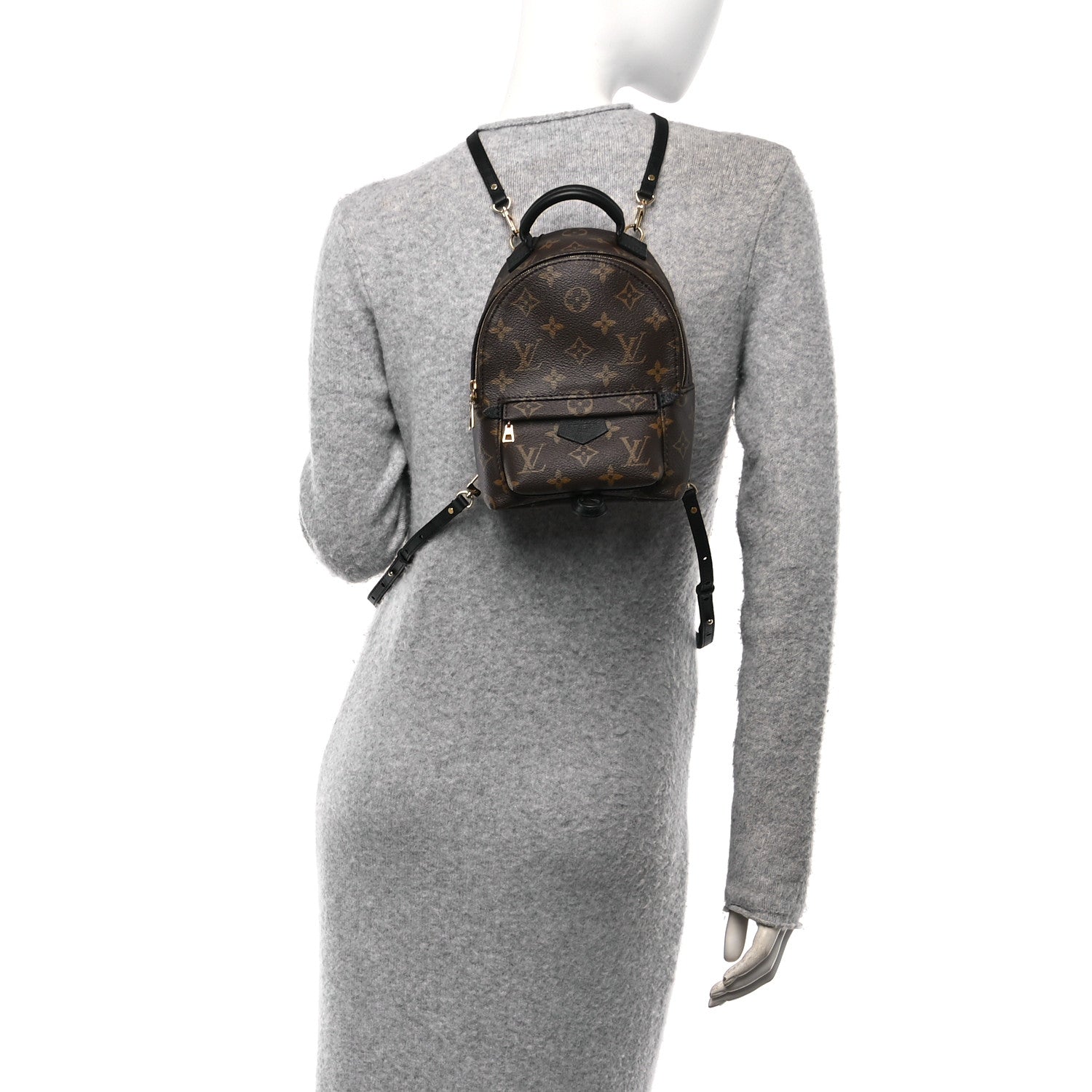 Monogram Palm Springs Backpack Mini