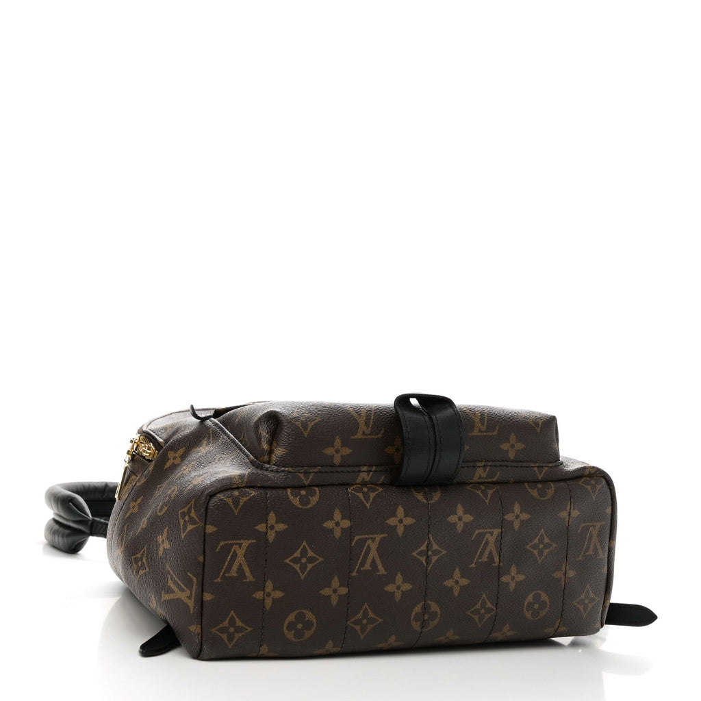 Monogram Palm Springs Backpack MM