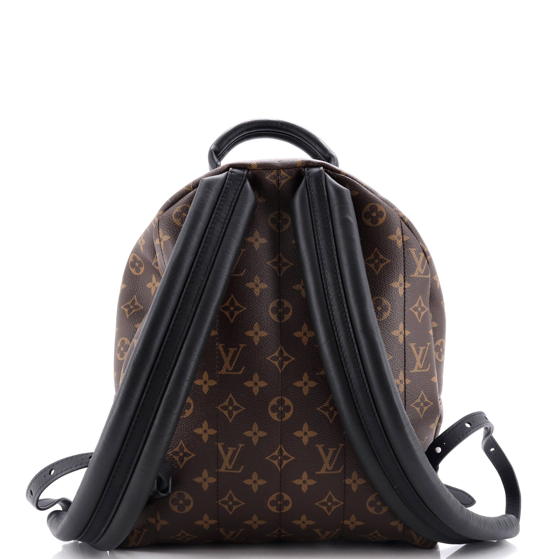 Louis Vuitton Palm Springs Backpack Monogram Canvas MM
