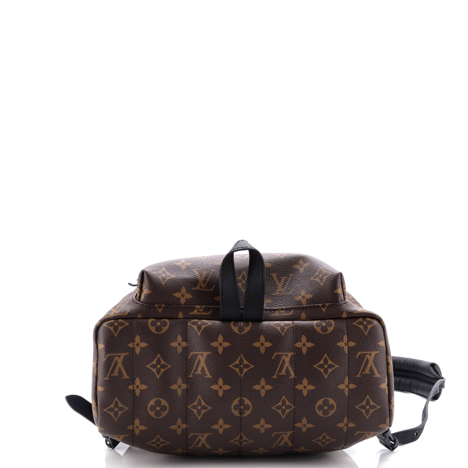 Louis Vuitton Palm Springs Backpack Monogram Canvas MM